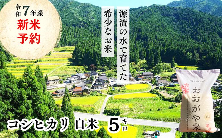 《令和7年産新米予約・10月ごろよりお届け開始》白米 5kg 令和7年産 コシヒカリ 岡山 「おおがや米」生産組合 G-af-AEDA