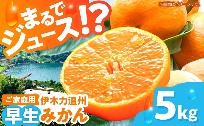 
                  ※【2026年11月より順次発送／先行予約】伊木力温州早生みかん5kg(ご家庭用、箱入り) / 伊木力 温州みかん みかん ミカン 蜜柑 佐瀬 諫早 多良見 長崎 早生　/ 末永果樹園 [AHBD004]
                