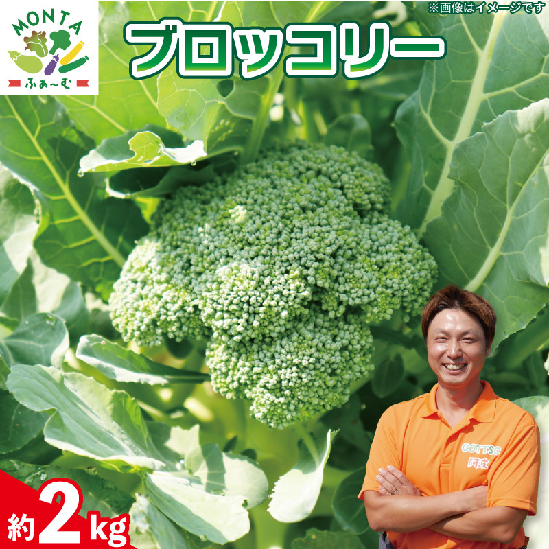 
先行予約 ブロッコリー 約2kg 野菜 やさい 国産 朝採れ 新鮮 旬 季節野菜 産地直送 鮮度抜群 サラダ スープ 味噌汁 鍋 シチュー カレー 和食 洋食 中華 栄養 ビタミン 美容 健康 冷蔵 お取り寄せ グルメ 送料無料 徳島県 阿波市 MONTAふぁ～む
