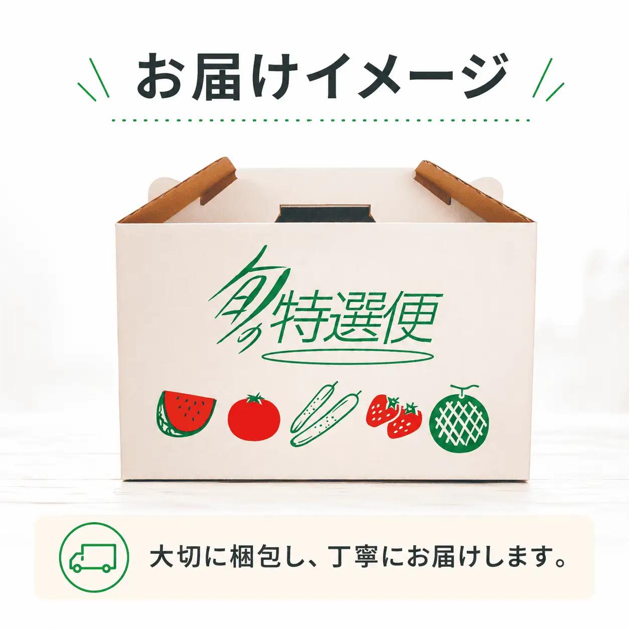 【訳あり】 アールスメロン 2玉 不揃い メロン 家庭用 完熟 果物 フルーツ