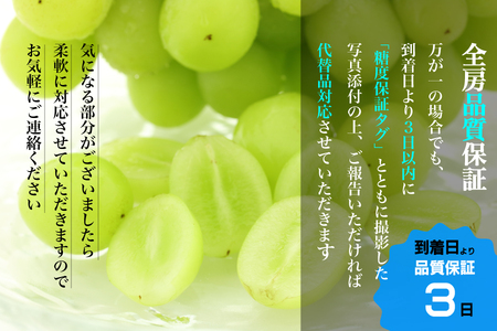 【糖度18度保証付】シャインマスカット 約1.1kg 2～3房 FN-Limited 104-003-FN | 【2025年発送】＜数量限定＞旬の美味しいフルーツだけをお届けします【ルッチ Rucci