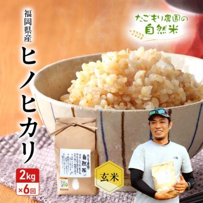 ふるさと納税 小郡市 定期便 6ヶ月 米 たごもり農園の自然米 ヒノヒカリ 玄米 2kg お米[No5354-2130]