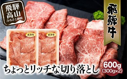 
            飛騨牛 切り落とし 300g×2パックセット みすじ ウデ すき焼き しゃぶしゃぶ  希少部位 600g 和牛 国産牛 冷凍 飛騨高山 飛騨牛のこもり FC005VP
          