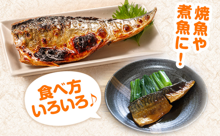 迷ったらコレ!魚鶴商店の天然紅サケ1kg &塩さばフィレ6枚セット 株式会社魚鶴《30日以内に出荷予定(土日祝除く)》 和歌山県 日高町 さば 鯖 鮭 サケ さけ しゃけ(f-4)