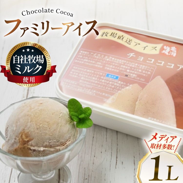 テレビで紹介！ アイス ジェラート チョコココア 1L ファミリーサイズ ジャンボサイズ [岩瀬牧場 北海道 砂川市 12260966] 冷凍 アイスクリーム 詰め合わせ スイーツ
