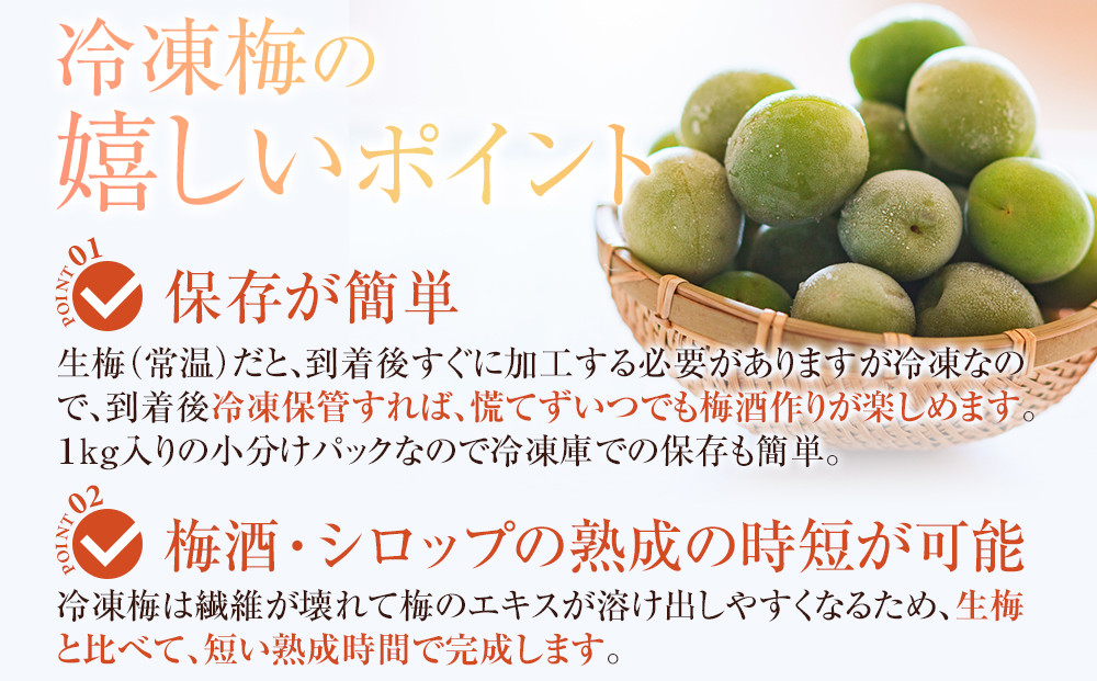 冷凍 紀州南高梅 青梅   約10kg   L～4Lサイズ混合 ご家庭用