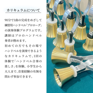 柏市発・世界に1つだけのハンドベル体験（平日・午前・6名様まで） 〈 音楽体験 チケット ふるさと納税 〉