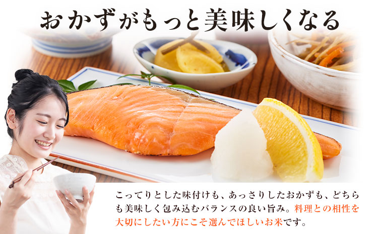 【先行予約】令和8年産 米 ひのひかり5kg 城農園《11月出荷》熊本県 菊池市 ふるさと納税 米 お米 ご飯 ごはん 白ご飯 七城 ひのひかり ヒノヒカリ 令和8年産 菊池米 先行予約 精米 白米