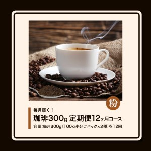 コーヒー300g 定期便12ヶ月コース 粉コース_定期便 12ヶ月 コーヒー 粉 各 100g 3種 合計 300g 小分け パック 飲み比べ 毎月 世界の生産地別のコーヒーが届く 産地 銘柄 発送時