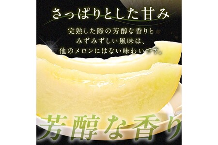 メロン／果物【先行予約／数量限定200】幻のメロン 新芳露 2玉（2024年7月中旬～発送）　「幻のメロン」と言われる希少メロン