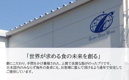 B2-4739／【鹿児島産ぶり】冷凍・ぶり半身セット（皮無ロイン背腹計2ｐ、カマ１ｐ）