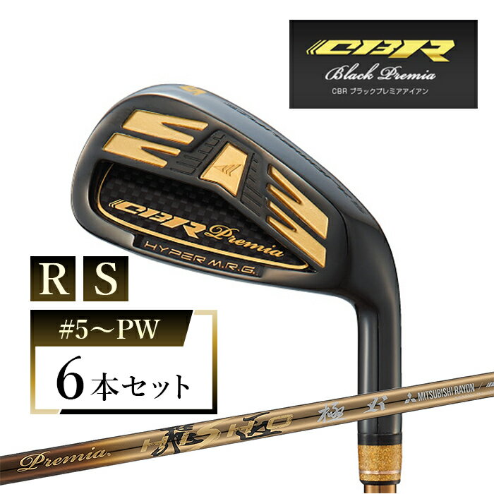【ふるさと納税】ワークスゴルフ CBRブラックプレミアアイアン 6本セット プレミア飛匠・極 全2種（R/#5〜PW・S/#5〜PW）