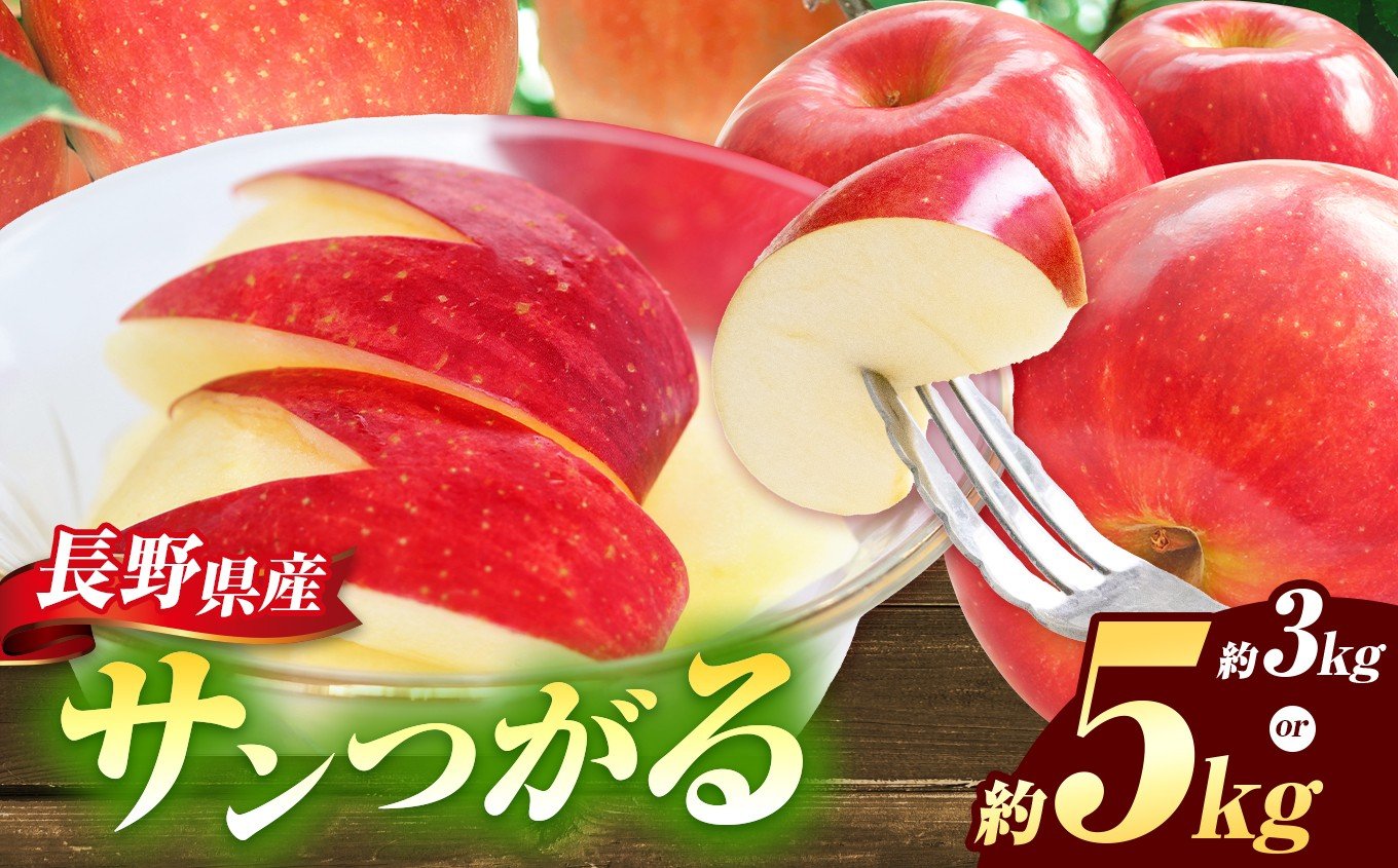 
            サンつがる 選べる内容量 3kg ・ 5kg 【2026年先行予約】 ｜ 浅野農園 リンゴ りんご 林檎 果物 くだもの フルーツ 果実 果汁サンつがる さんつがる 訳あり 長野県 松川村 信州
          