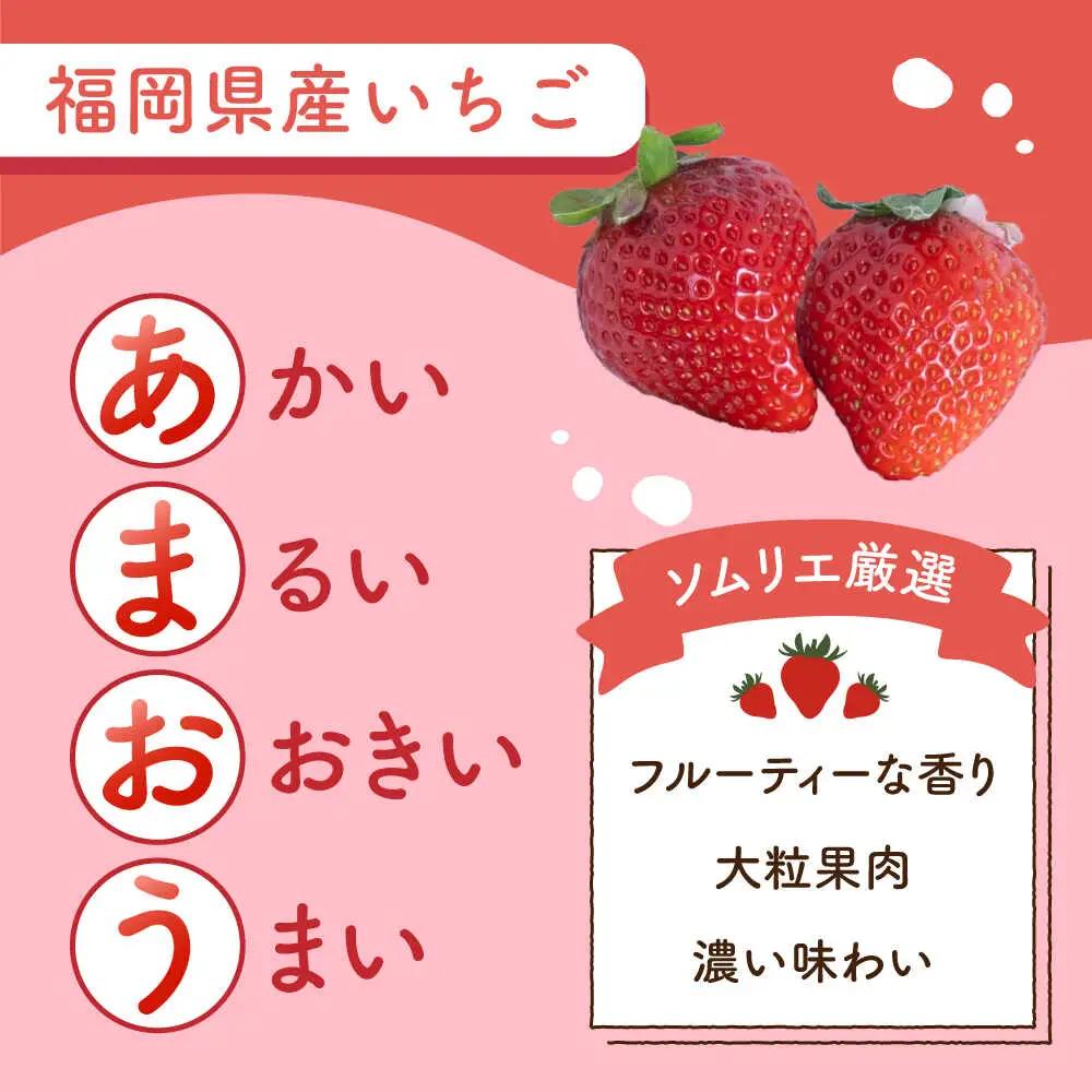 【全2回定期便】福岡産 春あまおう 250g×4P BGAG051 あまおう