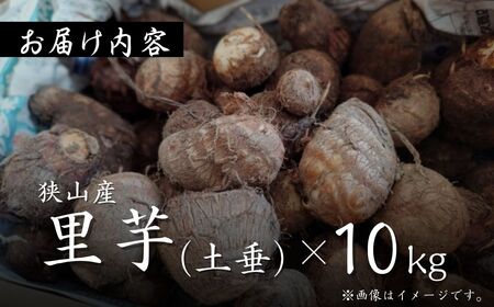 里芋 狭山市で採れた土付き里芋 土垂  約10kg | 埼玉県 狭山市