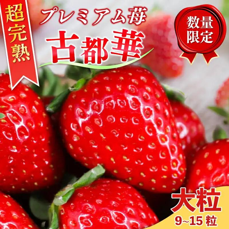 いちご 古都華 1箱【R9年1月～発送】いちご 20-050
