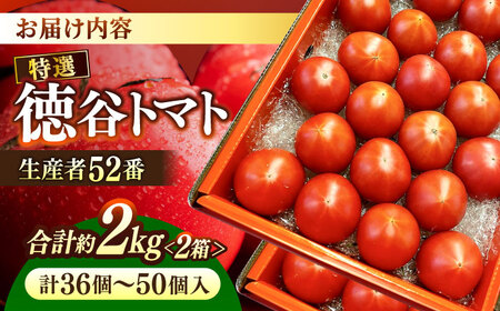 特選徳谷トマト約2kg　生産者52番　フルーツトマト