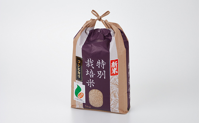  加賀百万石特別栽培米コシヒカリ玄米5kg お米 精米 こしひかり 