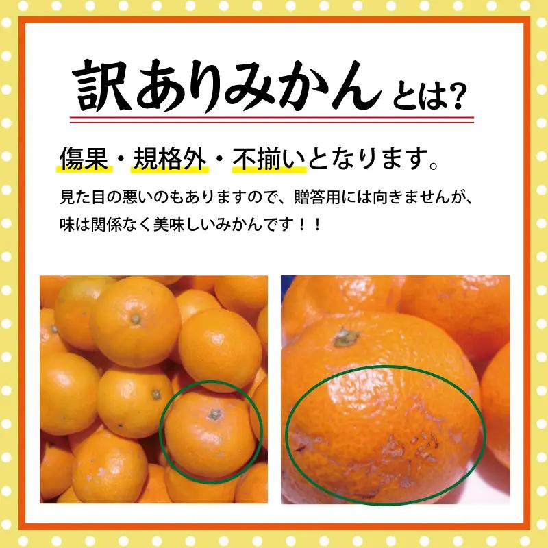 【訳あり】有田みかん 約10kg サイズ混合 みかん【nuk138H】