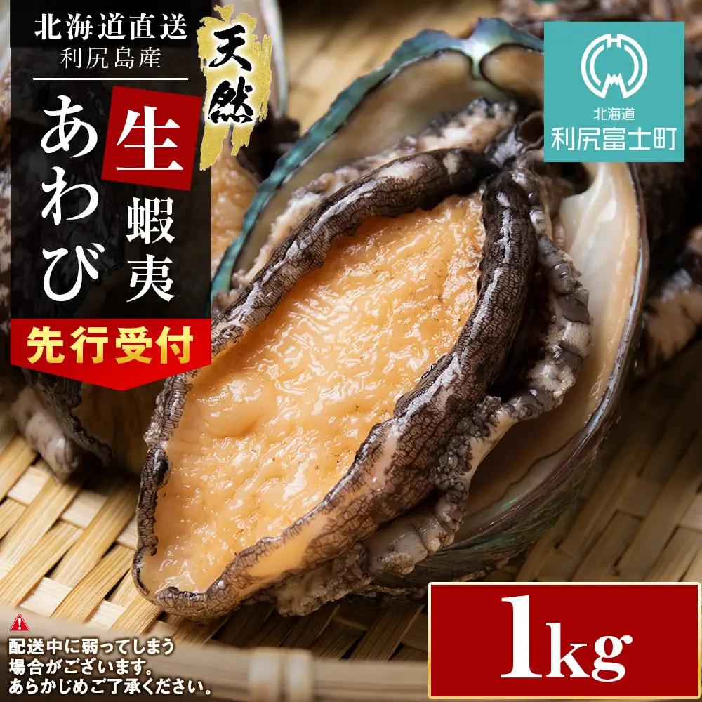【2026年発送予約】北海道 利尻島産 直送！利尻あわび 天然 生えぞあわび１kg 鮑 海鮮 冷蔵 お刺身 魚介 お祝い 鮑 活き 天然【福士水産】