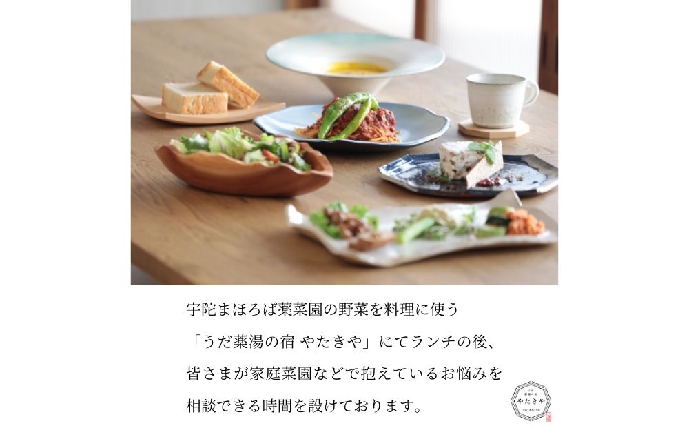 『旬刻旬菜』参加チケット（ペアチケット）家庭菜園のお悩みをプロ農家に相談できるランチ付き農業体験 ／ なつかしいみらいサービス 送料無料 チケット 無農薬栽培 農業体験 家庭菜園  ふるさと納税 奈良