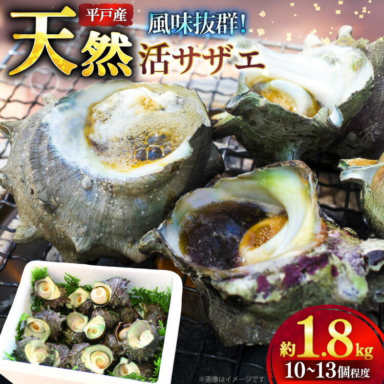 【ふるさと納税】サザエ つぼ焼き 天然 活サザエ 1.8kg 10個 〜 13個 程度 [ひらど新鮮市場 長崎県 平戸市 hr42bgy400140] さざえ 希少 貝 魚介 魚介類 海鮮 海産物 刺身 壺焼き バーベキュー BBQ 国産