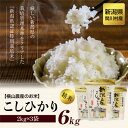 【ふるさと納税】【毎月定期便】横山農産のお米 こしひかり精米6kg 全6回【4058812】