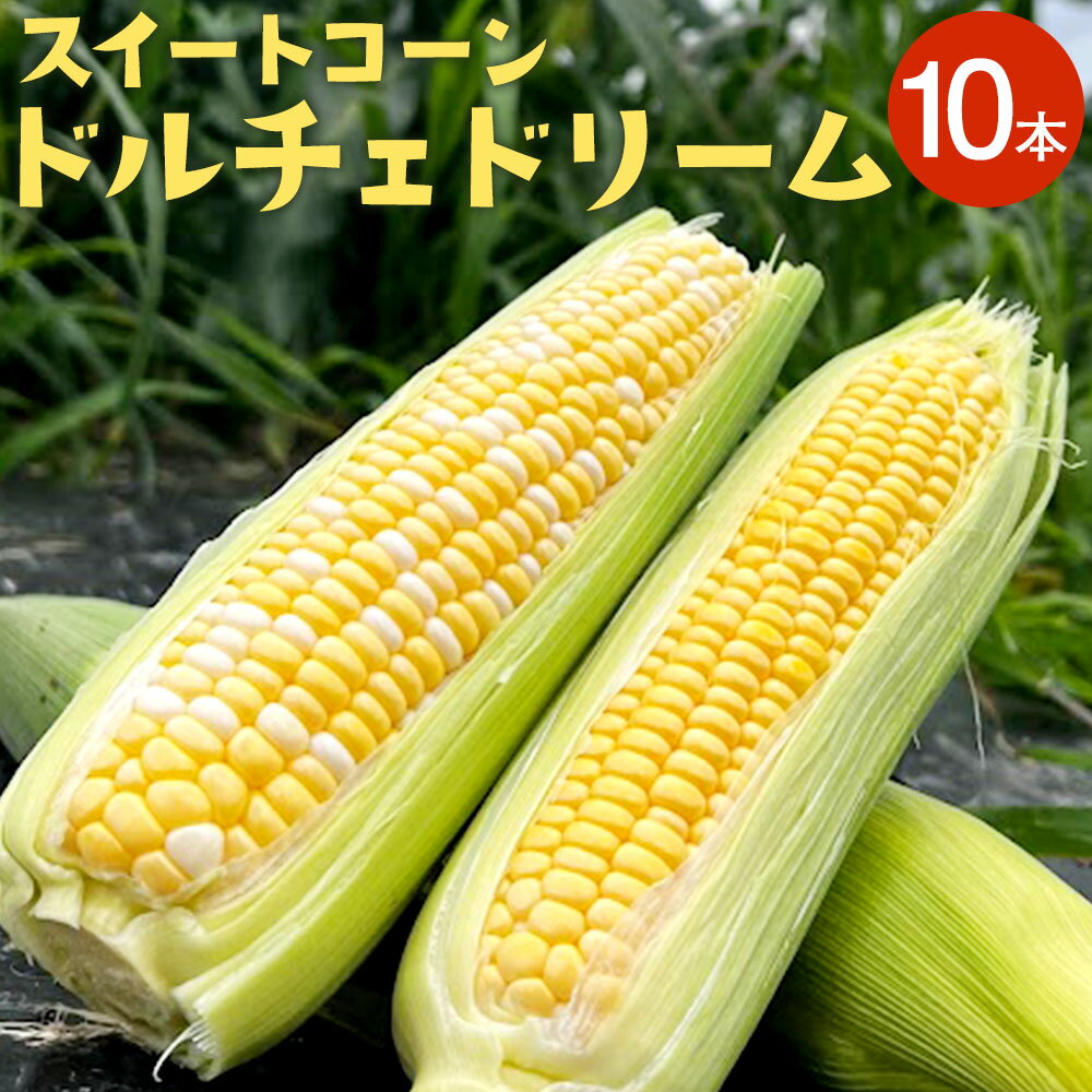 【ふるさと納税】熊本県産 スイートコーン ドルチェドリーム 約4.5kg 10本 とうもろこし トウモロコシ 野菜 やさい ベジタブル メロンより甘い 生でも食べられる 朝獲れ 新鮮 冷蔵 国産 九州産 水俣市産 送料無料【2025年6月上旬‐6月下旬迄発送予定】