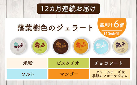 【全12回定期便】落葉樹色のジェラート6種セット 【株式会社クーバル】 アイス ミルク バニラ 米粉 スイーツ 大容量 業務用 北海道  [AXBQ011]