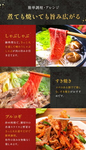 鹿児島県産黒毛和牛赤身スライス200ｇ×2パック LRプラスK 《90日以内に出荷予定(土日祝除く) 》 和牛 黒毛和牛 スライス 赤身 計 400g 鹿児島県産