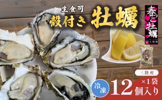 【 数量限定 】生食 冷凍 牡蠣 殻付き牡蠣 春っこ 牡蠣 1袋 ( 12個入り )  数量限定
