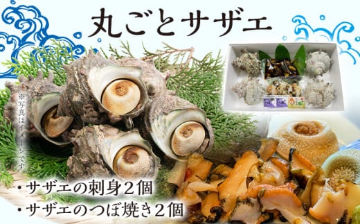 丸ごとサザエ さざえ 栄螺 貝 魚介 海鮮 刺身 つぼ焼き サザエ サザエの刺身２個 サザエのつぼ焼き２個 玄界灘 福岡 冷凍 お取り寄せ 海産物 さしみ 刺し身 グリル 殻付き レンジ おつまみ つ