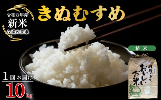 【令和8年産先行予約】【1回お届け】きぬむすめ 精米 10kg