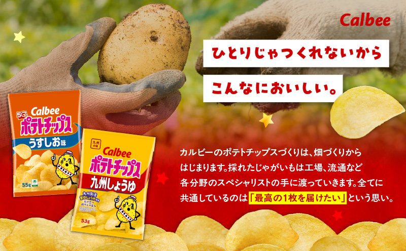 カルビー ポテトチップス 2種食べ比べセット【うすしお×九州しょうゆ】計28袋　K194-002_11