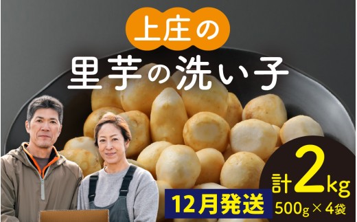 【先行予約】【12月発送】皮むきいらず、煮っ転がしに最適！上庄の里芋の洗い子 計2kg (500g × 4袋)　【冷凍】