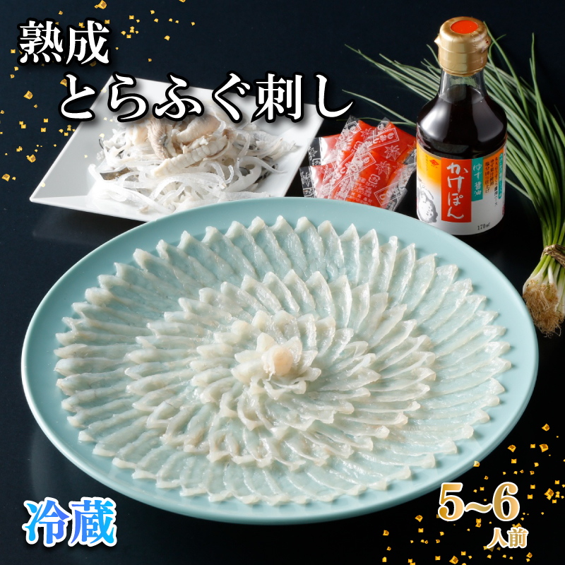 【お届け指定日必須】 熟成 とらふぐ 刺し 5～6人前 冷蔵