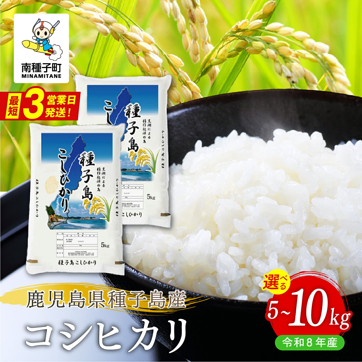 【ふるさと納税】《令和8年産米 新米》 種子島産コシヒカリ 米 お米 こめ コメ 精米 白米 コシヒカリ こしひかり 食品 グルメ お取り寄せ おすそわけ 人気 おすすめ ギフト 南種子町 鹿児島 かごしま 【有限会社新栄物産】