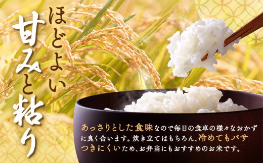 北海道恵庭産 ななつぼし 2kg×4袋（計8kg）