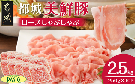 都城美鮮豚ロースしゃぶしゃぶ2.5kg(250g×10パック)_AC-5405_(都城市) 豚肉 ミルフィーユ鍋 しゃぶしゃぶ 炒め物 丼物 アレンジ豊富 パック詰め 