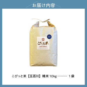 【令和7年度米】こぴっと米【五百川】10kg　1等特別栽培米100％  米 精米 10kg こぴっと米 早生品種 令和7年産 北杜市産 お米 [h020]