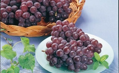 08-01-013　ぶどう(デラウェア)2kg