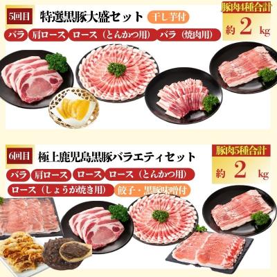 ふるさと納税 肝付町 <定期便・全6回(隔月)>極上セットF!　J02002 |  | 03