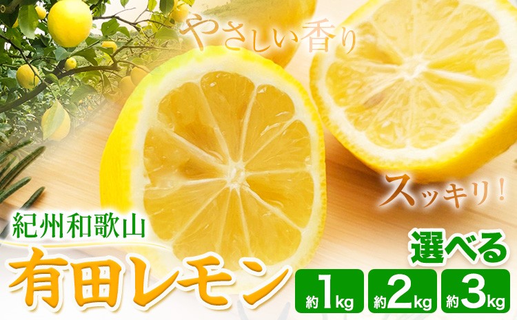 
                  紀州和歌山 有田レモン 選べる 約1kg 約2kg 約3kg 有田マルシェ《2026年9月下旬-2027年2月下旬頃発送予定》 和歌山県 日高町 れもん 檸檬 フルーツ ギフト 送料無料
                