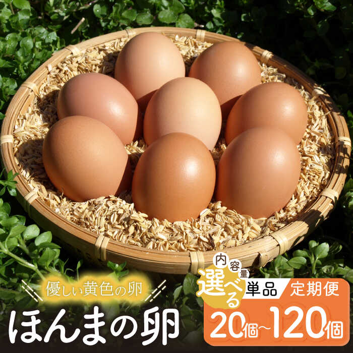 【ふるさと納税】【選べる単品・定期便】平飼いニワトリの有精卵！ほんまの卵 / たまご 卵 平飼い / 佐賀県 / 本間農園 [41AJAA001]