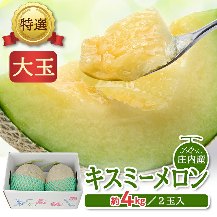 【ふるさと納税】特選 キスミーメロン 約4kg（大玉 2玉入） 青肉 つる付 山形県庄内産 7月中旬〜8月上旬頃お届け ※着日指定不可 青肉メロン メロン ツル付き セット 東北 山形県 酒田市 庄内