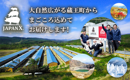 JAPAN X 味付ロース5点セット 生姜焼き5パック　豚肉 豚 ブランド豚 小分け ロース 豚ロース 味付 時短 生姜焼き 山賊焼き ジャパンエックス 蔵王 人気　【04301-0883-1】