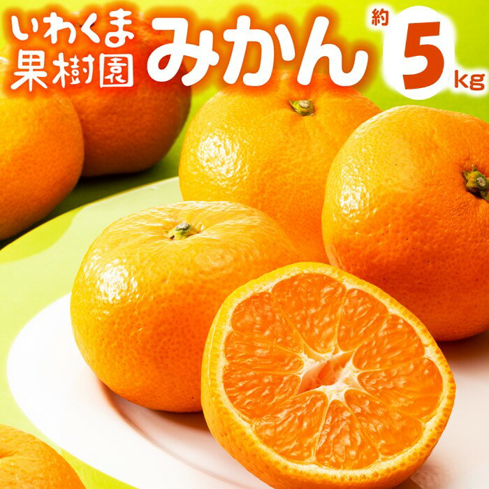 【ふるさと納税】いわくま果樹園から直送品の温州みかん（約5kg）／2025年9月下旬～2026年1月下旬発送予定★予約分★.AA216