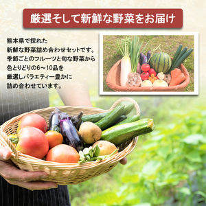 旬の味覚セット 季節の フルーツ ・熊本の新鮮お 野菜 (6～10品目) (詰め合わせ)