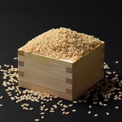 ふるさと納税 川西町 先行予約【令和8年産】栽培期間中農薬不使用米 つや姫玄米 10kg