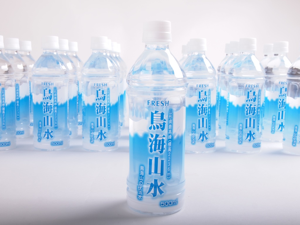 SE0009　鳥海山水　500ml×24本入り　4ケース